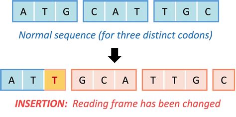 do substitution mutations result in frameshift|14.5: Types of Mutations .